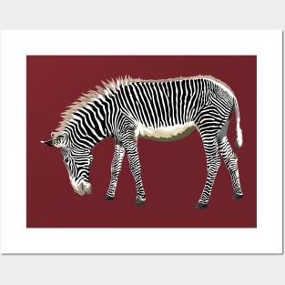 Be A Zebra Posters and Art